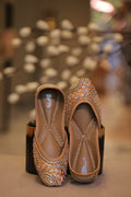 Shahi Dulhan