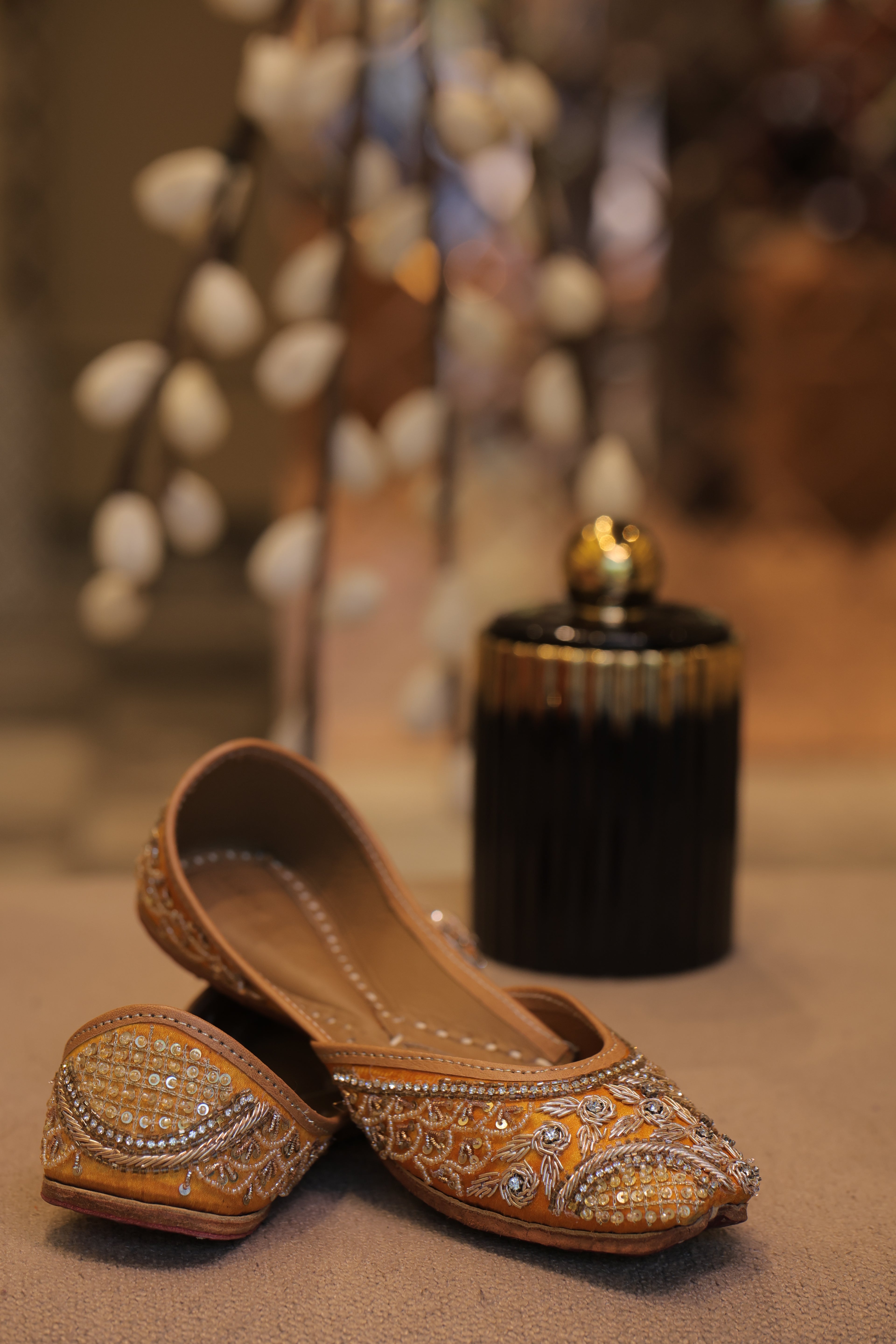 Shahi Dulhan
